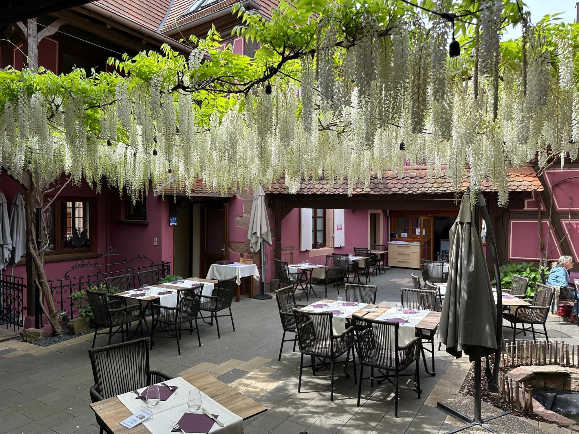 Auberge Le Meisenberg Châtenois Buitenkant foto