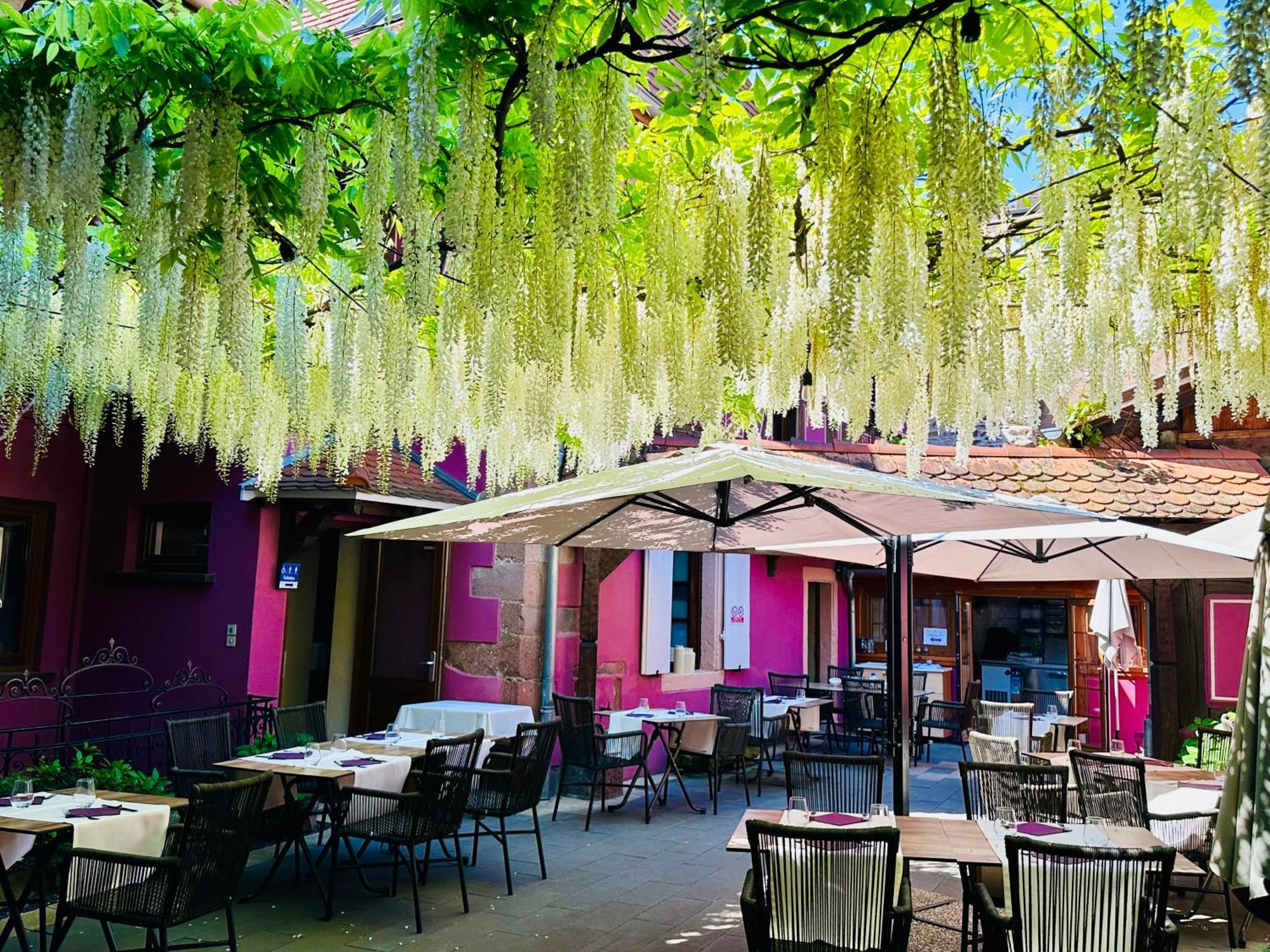 Auberge Le Meisenberg Châtenois Buitenkant foto