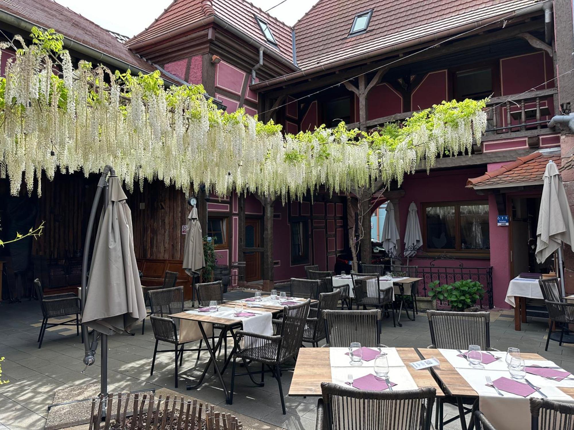Auberge Le Meisenberg Châtenois Buitenkant foto
