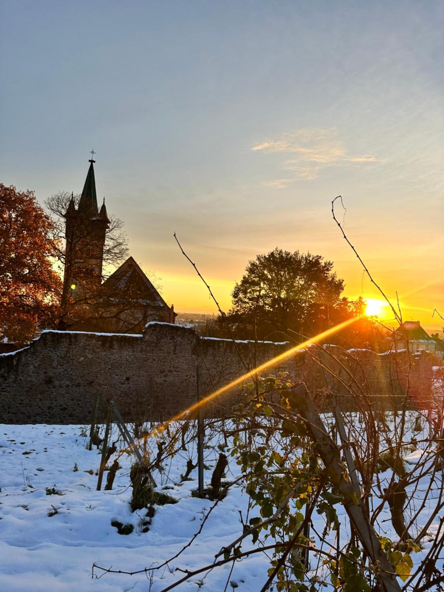 Auberge Le Meisenberg Châtenois Buitenkant foto
